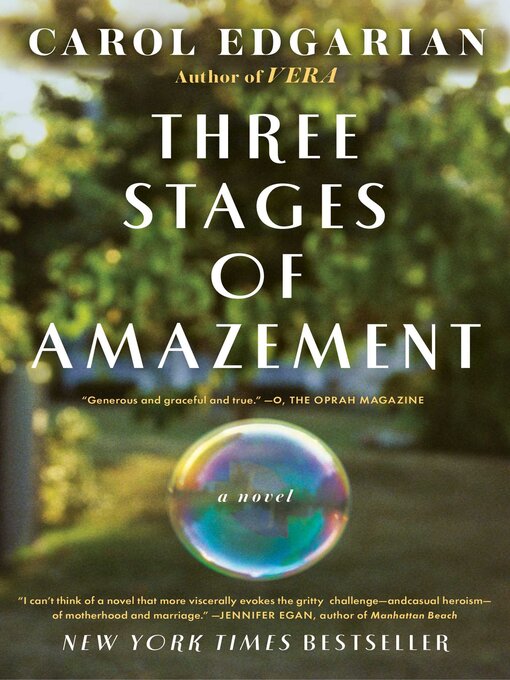Title details for Three Stages of Amazement by Carol Edgarian - Wait list